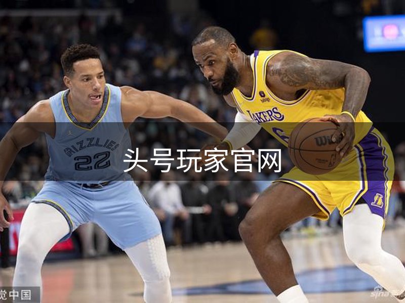 网站概况